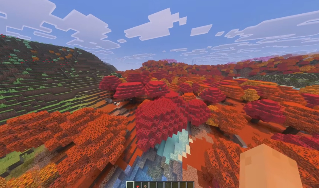Vibrant Dappled Forest glowing with autumn colors